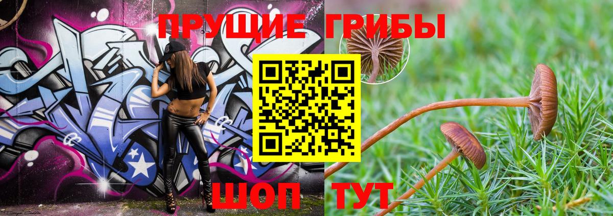 Псилоцибиновые грибы мухоморы Городец
